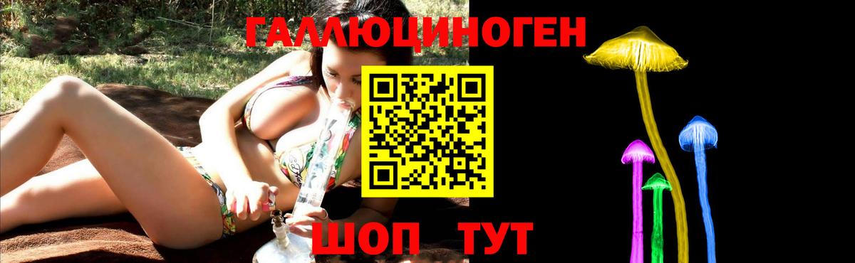 Дмитров  как найти закладки  Вход с VPN  Галлюциногенные грибы Psilocybine cubensis  Галлюциногенные грибы Cubensis 